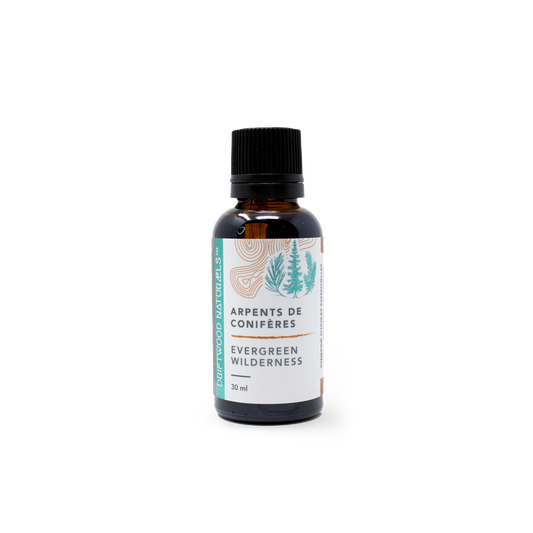Driftwood Naturals Synergy Pure Essential Oil - Evergreen Wilderness